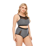 Women's Two Piece Plus Size Black Gauze Triangle Bottom Mesh Pattern Swimsuit
